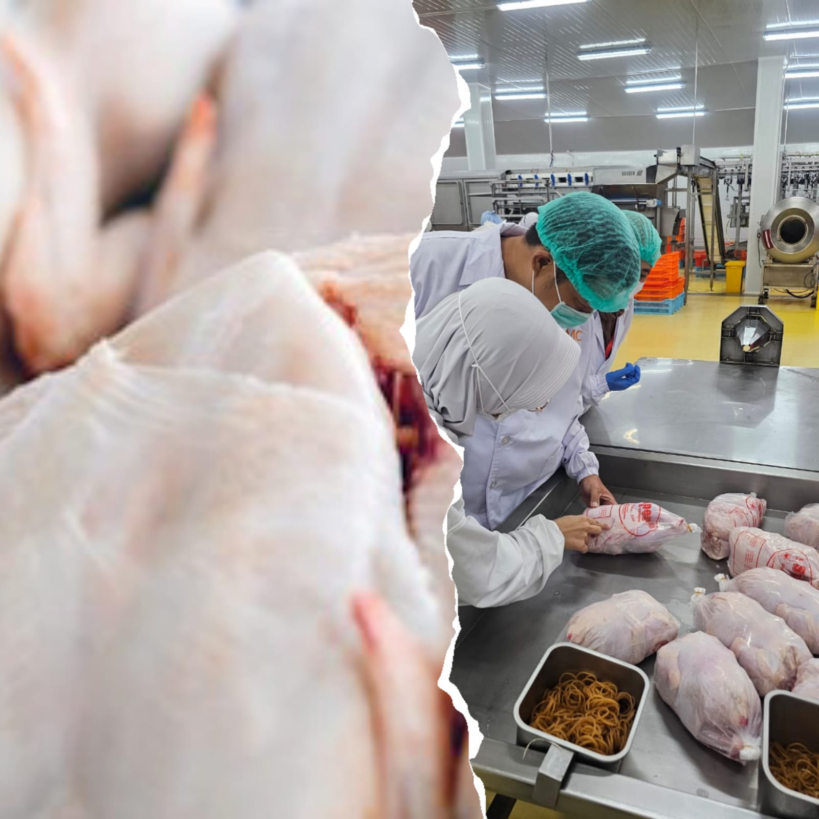 whatsapp image 2025 10 27 at 10.09.29