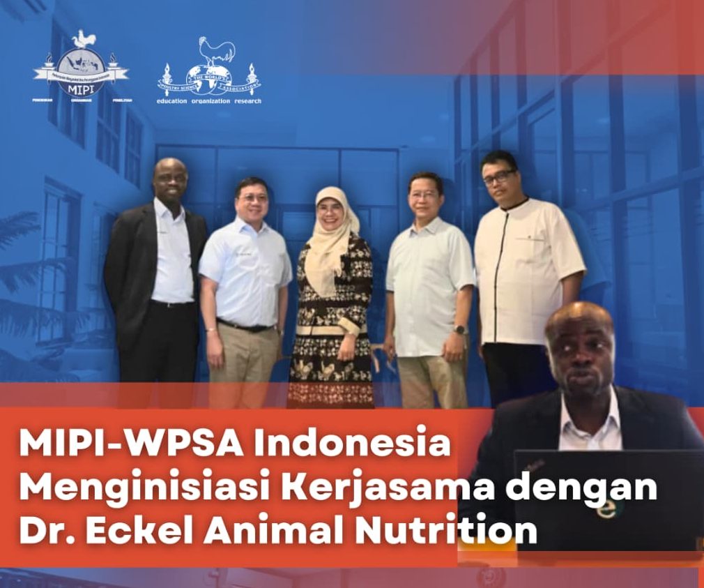 whatsapp image 2025 11 23 at 12.40.03